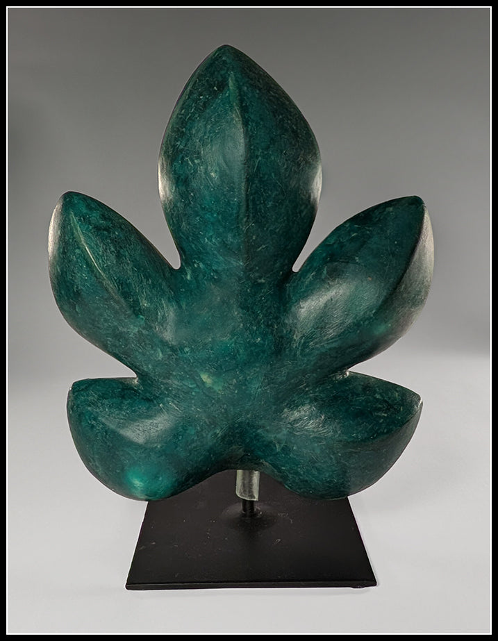 Common Fig Leaf